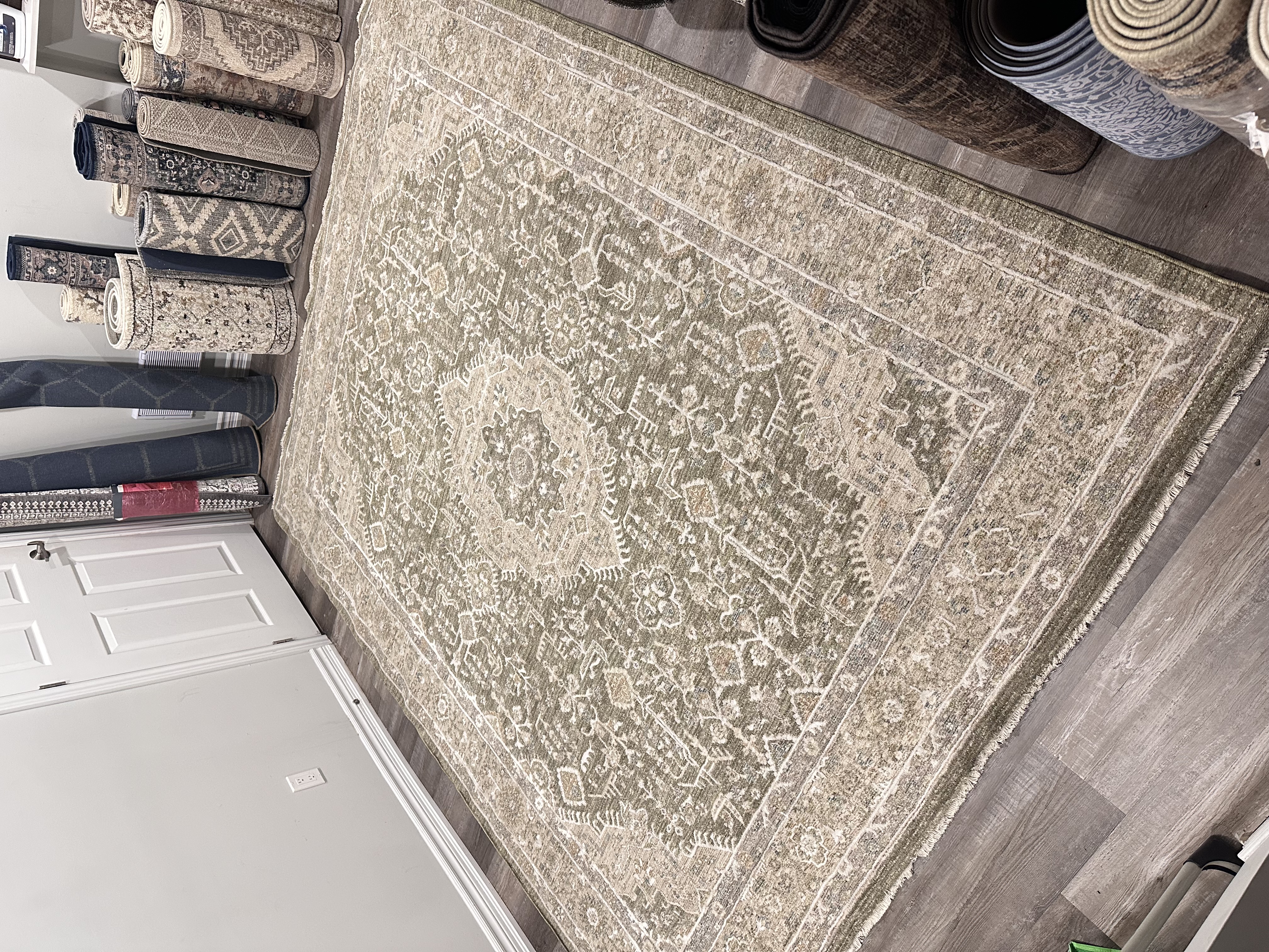 Nourison Florentine FLN02 Green 8x10 Area Rug